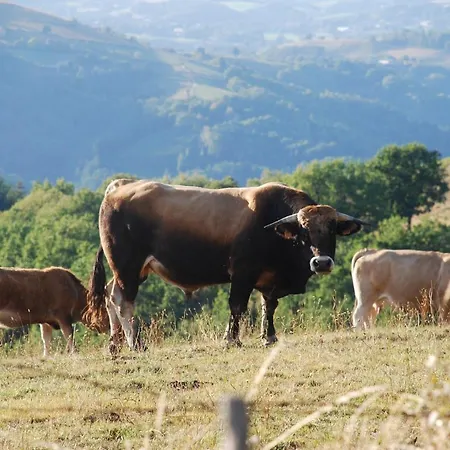 ホテル De Sejour 2 Gammes Saint-Hippolyte