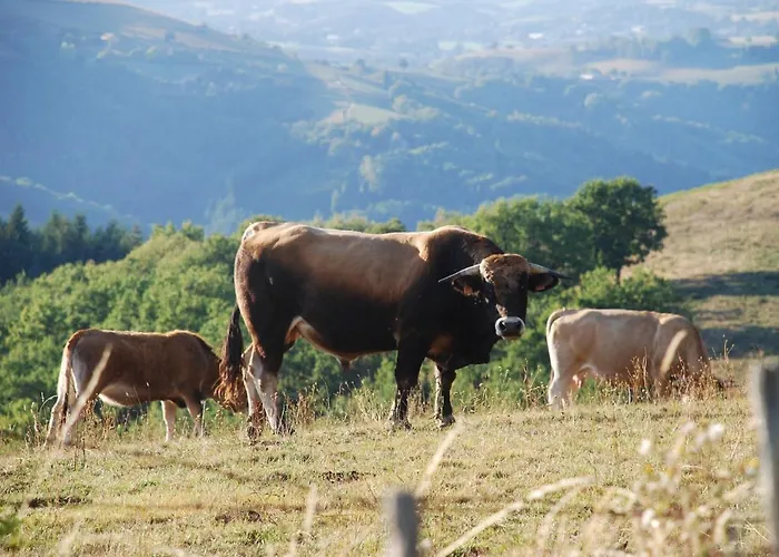 Ξενοδοχείο De Sejour 2 Gammes Saint-Hippolyte (Aveyron)